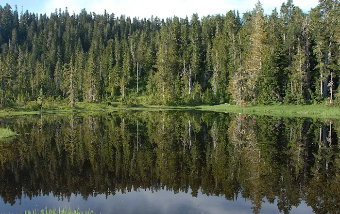 Three Lakes Campground, Olympic National Park 4