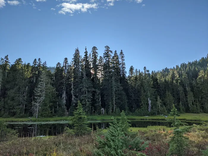 Three Lakes Campground, Olympic National Park 3
