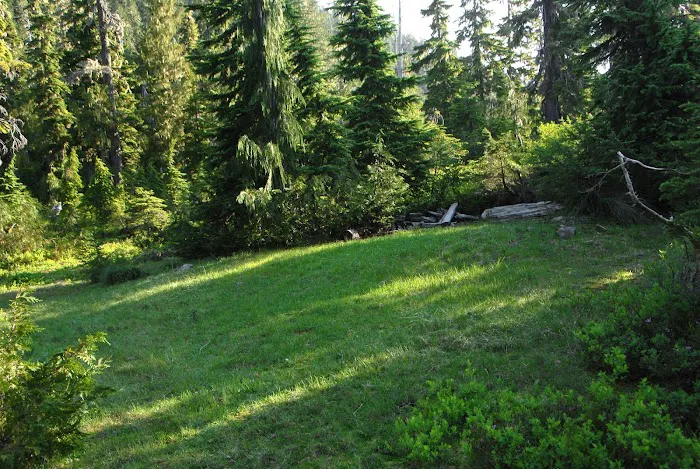 Three Lakes Campground, Olympic National Park 5