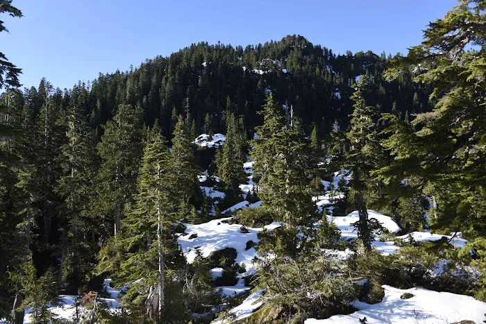Moonshine Flats 2