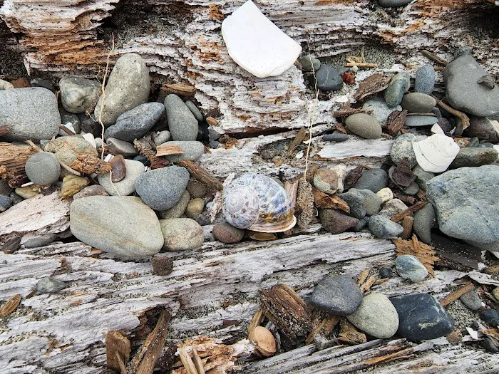 Fay Bainbridge Park 8