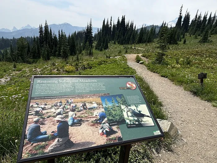 Sunrise Camp Exhibit Panel 4
