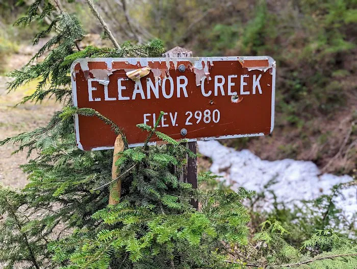 Lake Eleanor Camp 7
