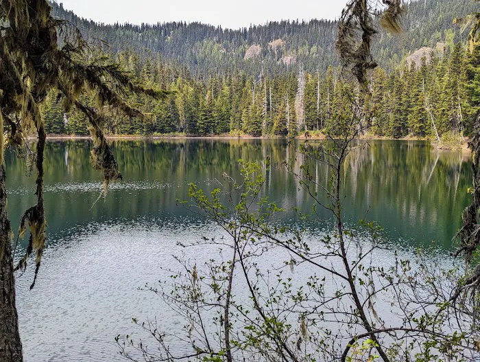 Lake Eleanor Camp 9