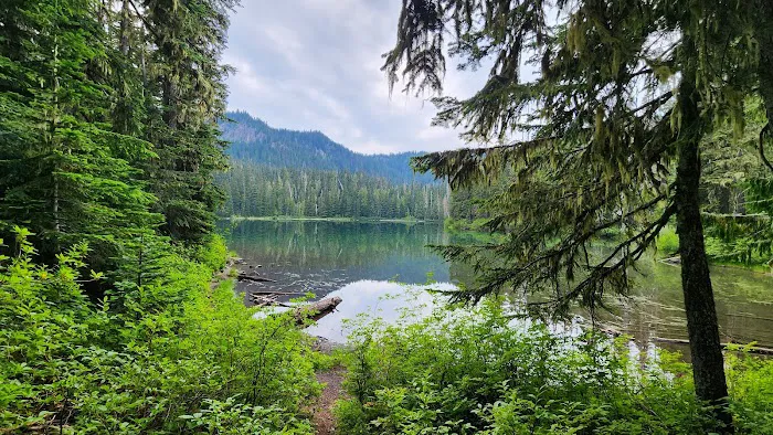 Lake Eleanor Camp 4