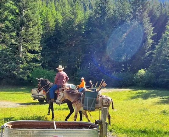 Sand Flats Horse Camp