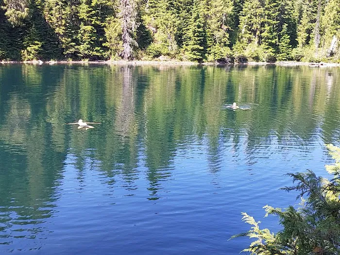 Golden Lakes Camp 6