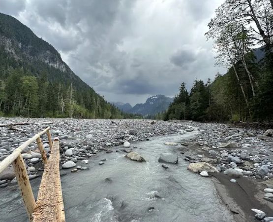 Carbon Glacier Trail