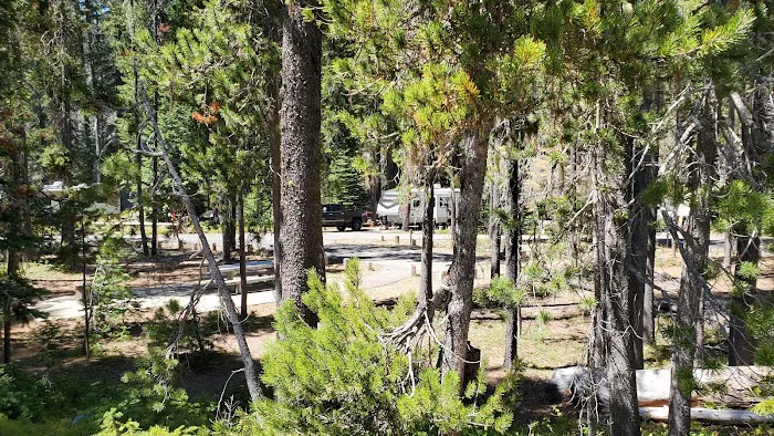 Lodgepole Campground 5