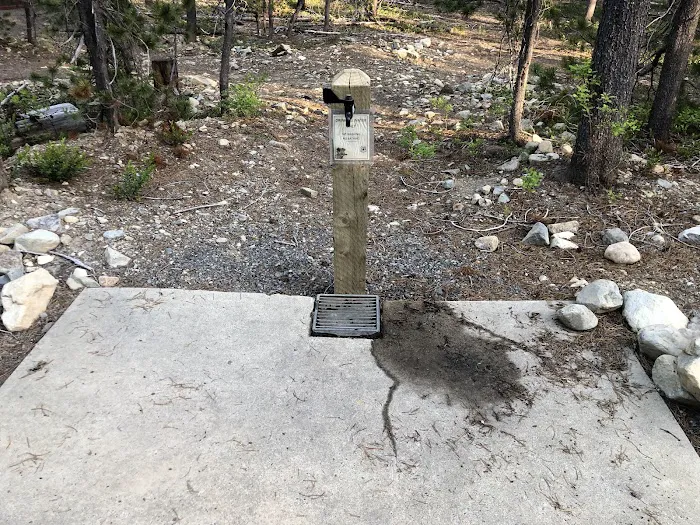 Lodgepole Campground 8