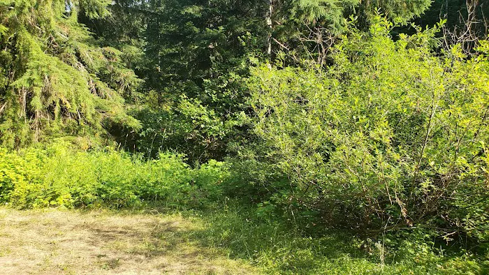 Soda Spring Campground 4