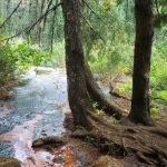 Soda Spring Campground