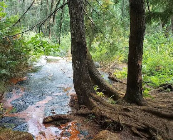 Soda Spring Campground