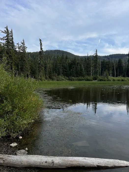 White Pass Lake 0