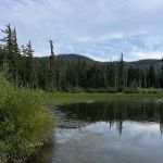 White Pass Lake