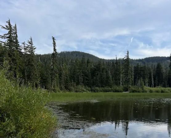 White Pass Lake