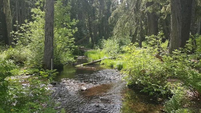 White Pass Horse Camp 2