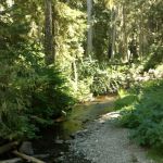 White Pass Horse Camp
