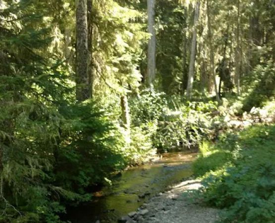White Pass Horse Camp