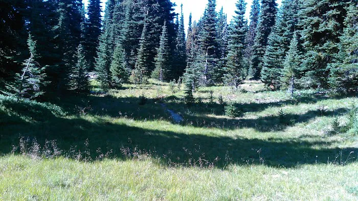 White Pass Horse Camp 8
