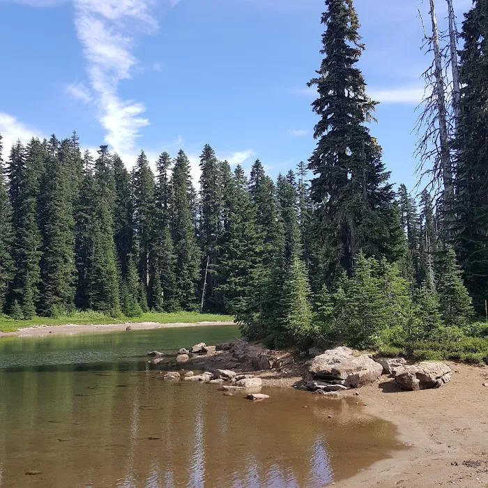 White Pass Horse Camp 1