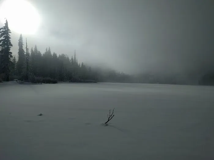 White Pass Horse Camp 5
