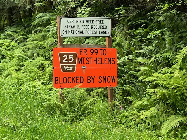 Forest Road 25 7