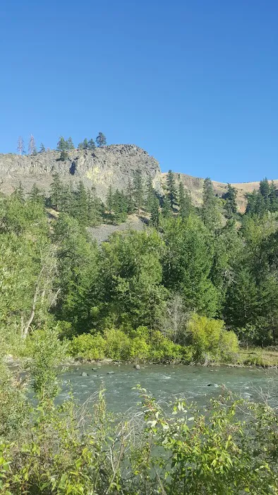 Lonesome Cove Campground 1