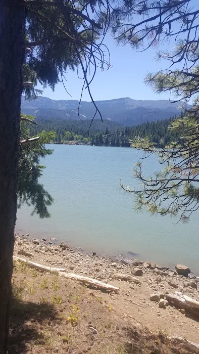 Lonesome Cove Campground 4