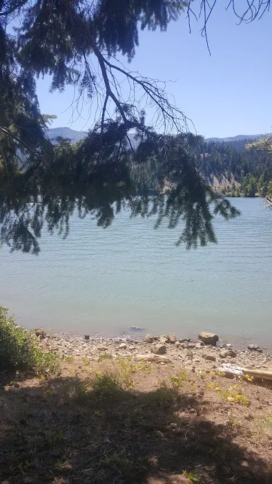 Lonesome Cove Campground 9