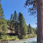 South Fork Tieton Dispersed Camping