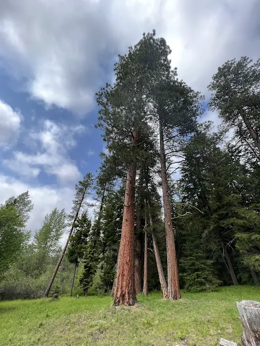 South Fork Campground 4
