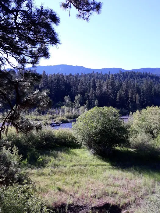 South Fork Campground 5