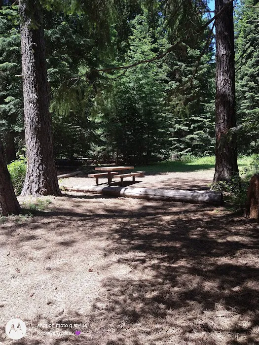 Indian Creek Campground 8