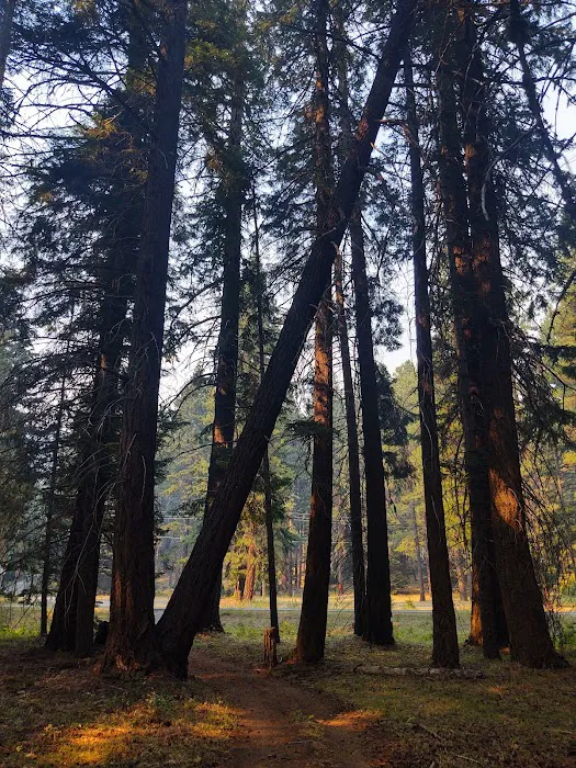 Indian Creek Campground 6