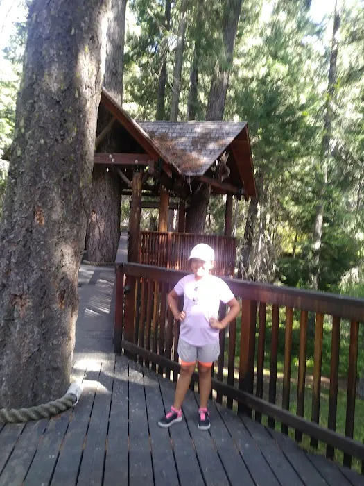 Unimproved Clear Lake North Group Campground 6