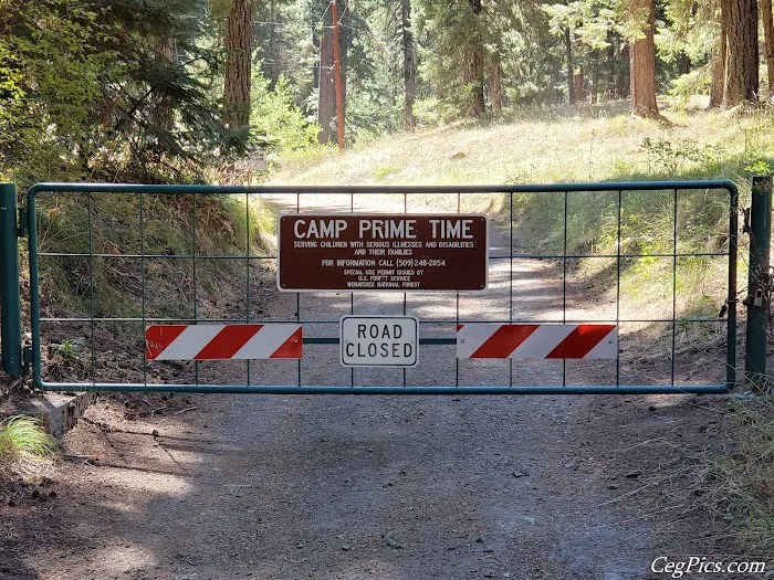Camp Prime Time 9