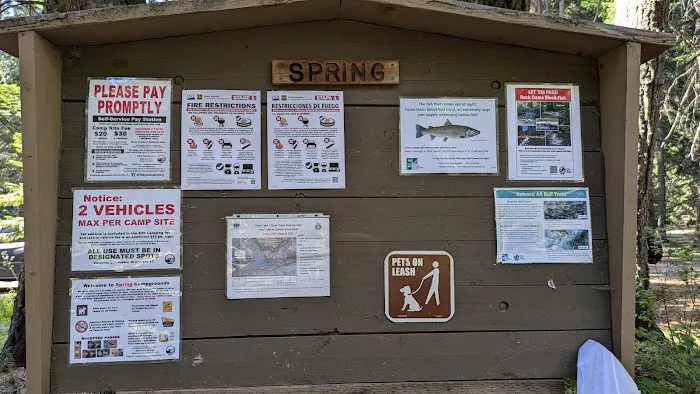 Spring campground 0