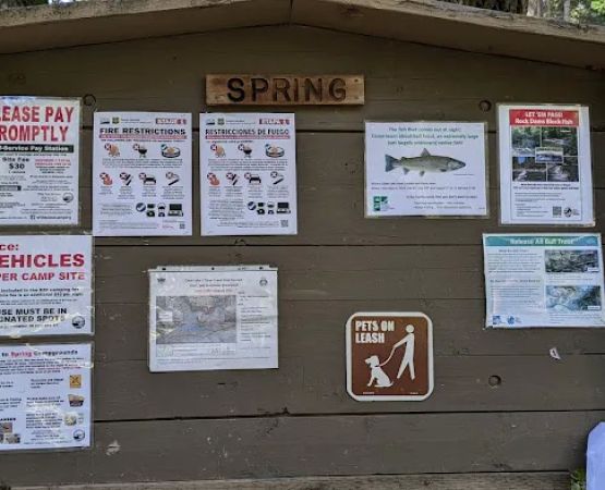 Spring campground