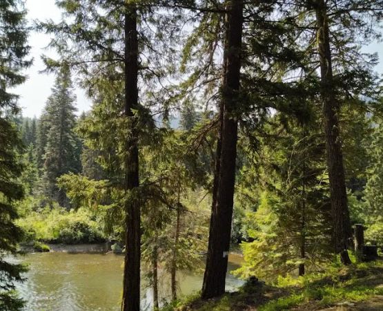 Clear Lake Campground North
