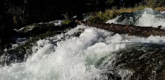 Clear Lake South Campground 7
