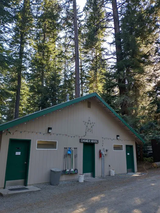 Camp Zarahemla 8