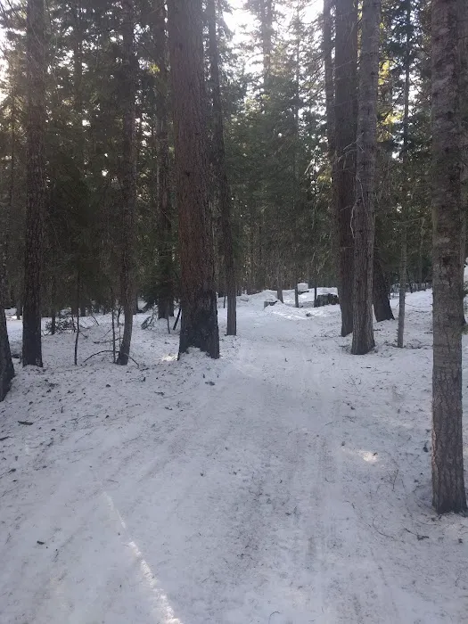 Pleasant Valley Campground 5