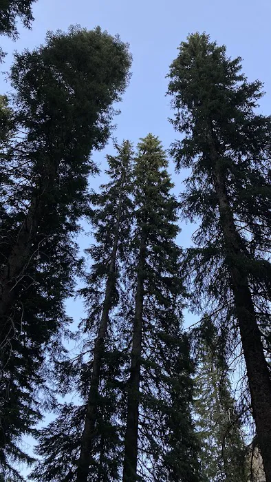 Salmon Cove Group Campground 3