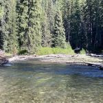 Salmon Cove Group Campground