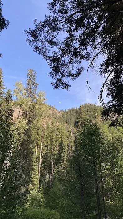 Salmon Cove Group Campground 2