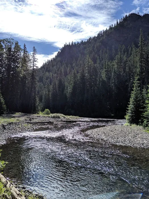 Salmon Cove Group Site 1