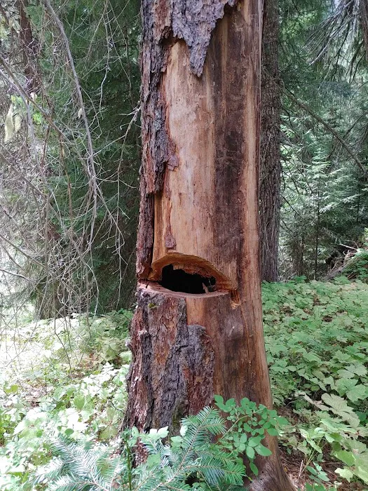 Salmon Cove Group Site 4