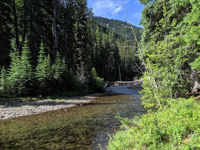 Salmon Cove Group Site 2