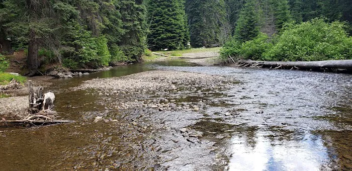 Salmon Cove Group Site 8